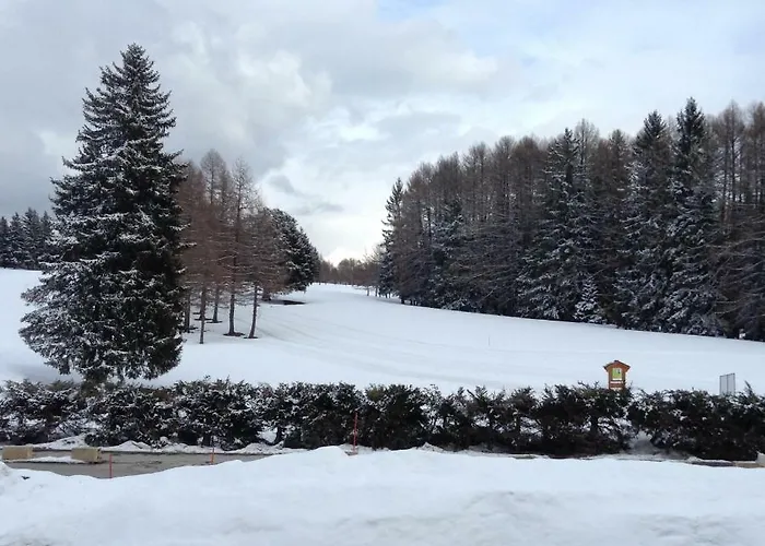 Melezes Lejlighed Crans-Montana